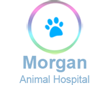 Morgan Animal Hospital